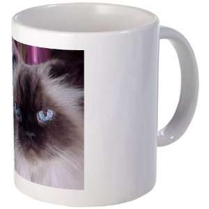  Himalayan Kitty Cat Pets Mug by  Kitchen 