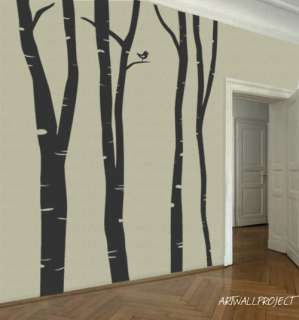 Wall Vinyl Decal Sticker Forest Birch tree 101 height  