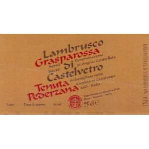   Di Castelvetro Semisecco Frizzante 750ml Grocery & Gourmet Food