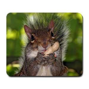  Squirrel and Peanut Animal Lover Large Mousepad 