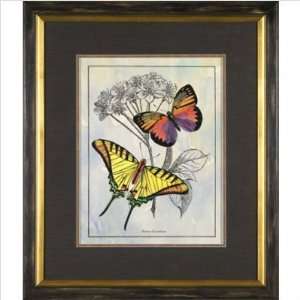  Phoenix Galleries HP780 Varieties of B   Flies 3 Framed 