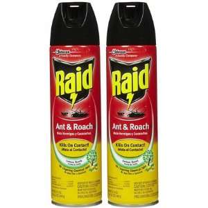  Raid Ant & Roach Killer Insecticide Spray, Lemon, 17.5 oz 