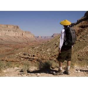  A Hiker Pauses to Admire the View Down the Canyon Premium 