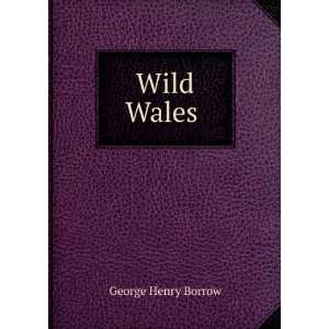  Wild Wales . George Henry Borrow Books