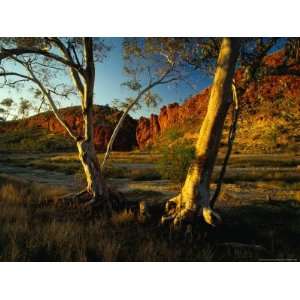  Glen Helen Gorge, West Macdonnell National Park, Australia 