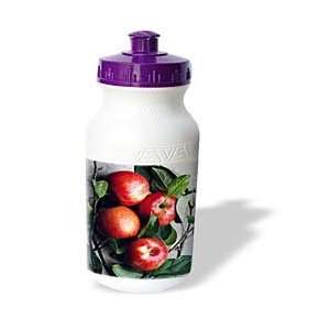  Fruit Food   Apple   Water Bottles