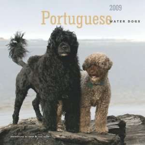  Portuguese Water Dogs 2009 Wall Calendar
