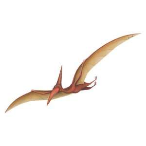  Pterodactyl Dinosaur Wall Applique