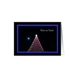 of Lights Austin Christmas Tree Card    Moonlite Night Peace on Earth 
