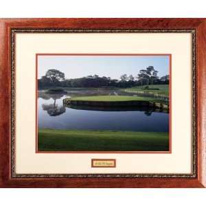  TPC Sawgrass   23 x 22