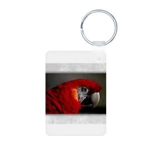  Aluminum Photo Keychain Scarlet Macaw   Bird Everything 