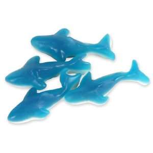 Gummi Blue Shark, 5 Lb Grocery & Gourmet Food