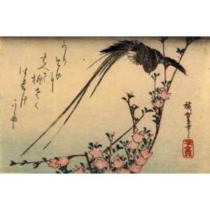   Japanese Art Utagawa Hiroshige Black bird and azalea