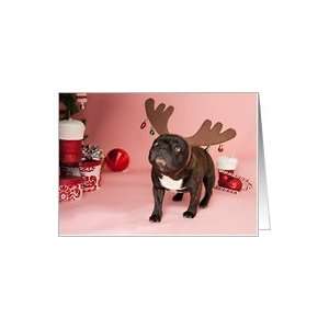  Brindle French Bulldog Christmas Card Card Health 