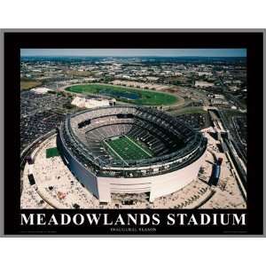 New York Giants   New Meadowlands Stadium   Med   Wood Mounted Poster 