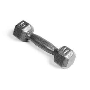  Pro Hex Dumbbell with Cast Ergo Handle   Grey 3 lb Health 