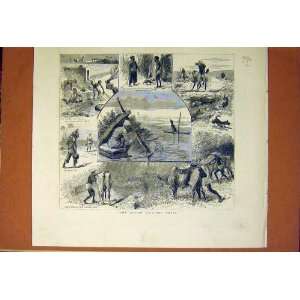  Indian Sport Sketches Alligator Jackal Hunt Quail 1883