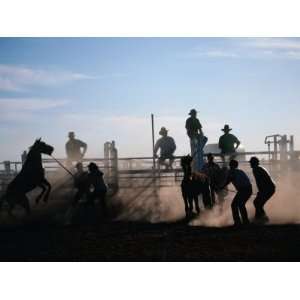  People and Horses at Rodeo, Queensland, Australia 