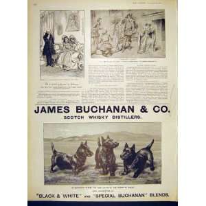   Whisky Distiller James Buchanan Black White 1902
