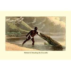 Method of Attacking the Crocodile   12x18 Framed Print in Black Frame 
