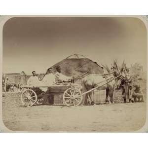 Transportation,Turkic,cart,yurt,Russian Soldiers,c1865 
