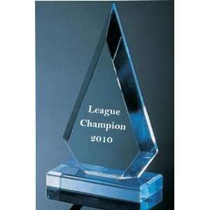  League Champion Award 