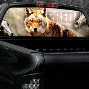  Coyote Predator Full Window Graphics Automotive