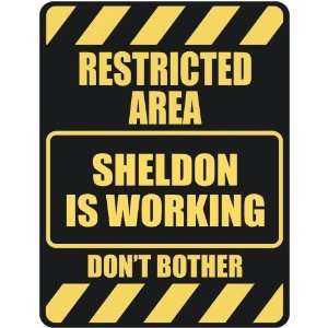   RESTRICTED AREA SHELDON IS WORKING  PARKING SIGN