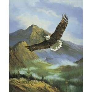  Eagle Gliding Poster Print