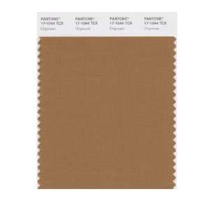   PANTONE SMART 17 1044X Color Swatch Card, Chipmunk