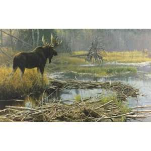  Robert Bateman   Autumn Overture Moose Artists Proof 