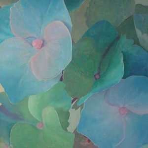  Hydrangeas   Leni Betes 30x34