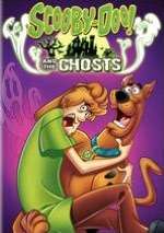   Scooby Doo & The Robots by Warner Home Video  DVD