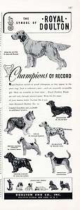 ROYAL DOULTON AD   Champion DOG FIGURINES   1949  