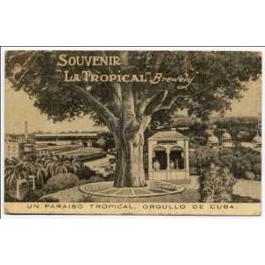  Reprint Souvenir La Tropical Brewery