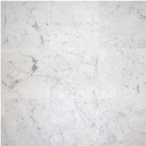  Carrara (Carrera) Bianco Polished 18x18 Marble Everything 