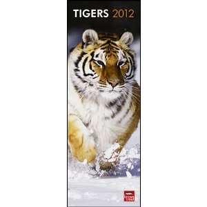  Tigers 2012 Slimline Wall Calendar