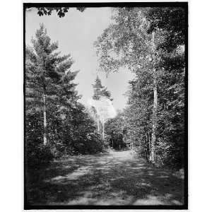   Point,N.Y.,Hotel Champlain,birches,pines,Green Drive