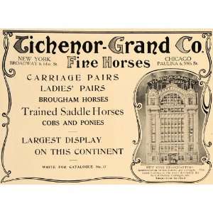  1907 Ad Tichenor Grand Brougham Saddle Horses Ponies 