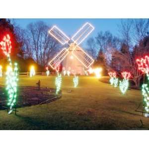  Windmill Appears Surrounded by Light Bulb Tulips in the Spectacle 