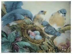 Natures Poetry Song of Promise Bluebird by Lena Liu WS George China 
