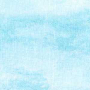   quilt fabric by South Sea Imports, blue sky Arts, Crafts & Sewing