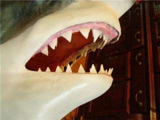 XXL Big Great White Shark Head Replica MOUNT   Fierce BIG Teeth 