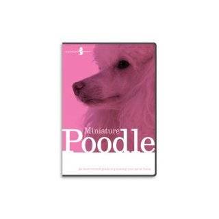 poodle grooming dvd