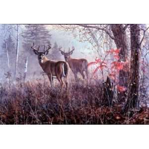  Jim Hansel Double Vision Deer Print 