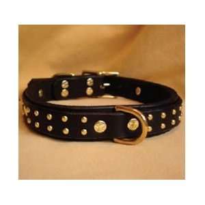  Leather Dog Collar   Zuma