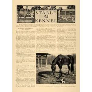  1906 Article Horse Dog St Bernard Hunting Harold Pitkin 
