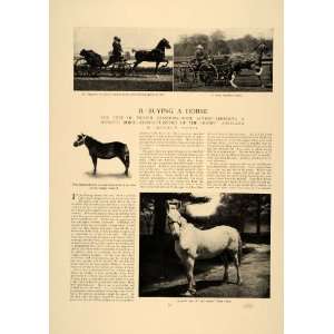  1906 Article Buying Horse Pony Charles Sawyer Equine Farm 