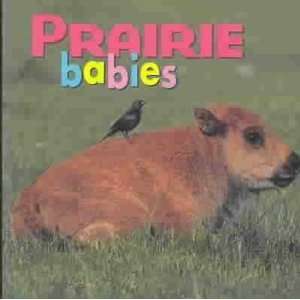    Prairie Babies Kristen/ Jackson, Aimee McCurry