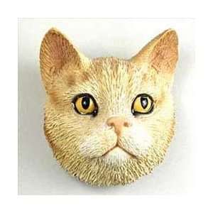  Tabby Cat Magnet